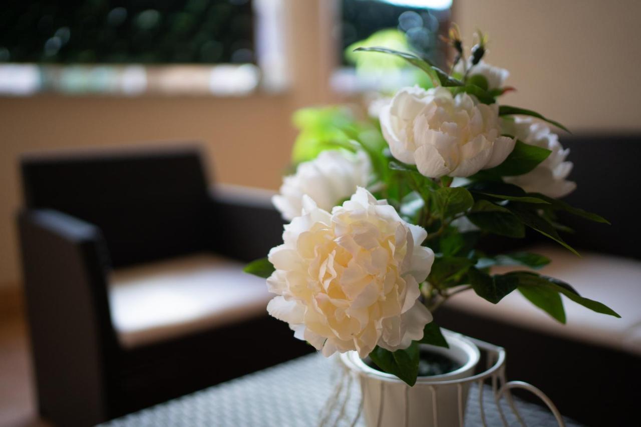 Il Borgo Appartamenti ออลเบีย ภายนอก รูปภาพ