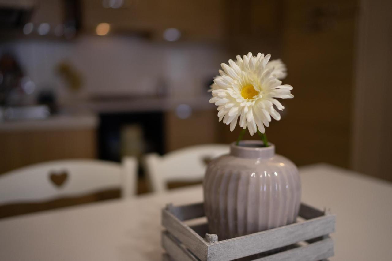 Il Borgo Appartamenti ออลเบีย ภายนอก รูปภาพ